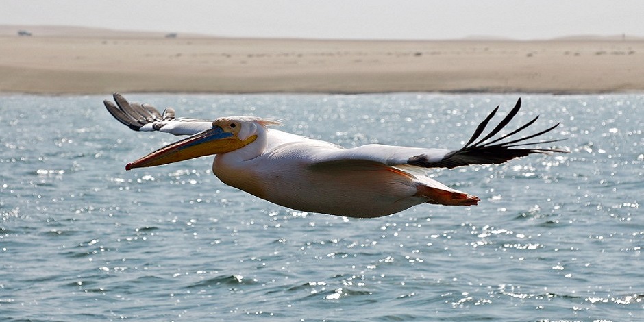 Rovos - African Trilogy RVR Pretoria &agrave; Walvis Bay - 09 au 24 octobre 2026
