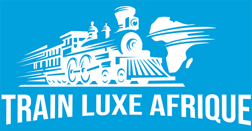 Logo Footer