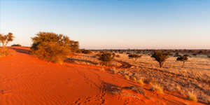 Rovos - Namibia Safari - Walvis Bay - Pretoria - 14 au 25 avril