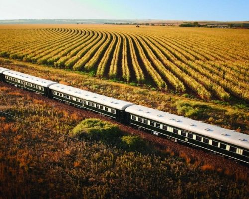 Train Rovos en route